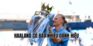 haaland có bao nhiêu danh hiệu