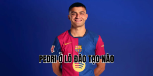 pedri ở lò đào tạo nào